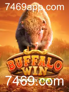 Explorando o Mundo do BuffaloWin: Regras e Inovações